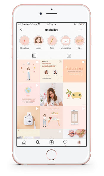 feed instagram